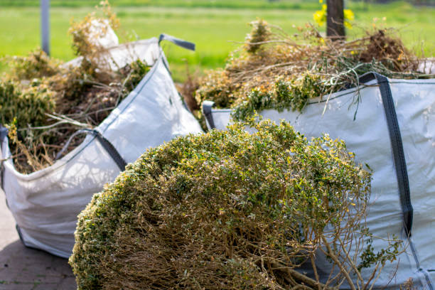 Best Electronics Removal Services  in St Regis Park, KY